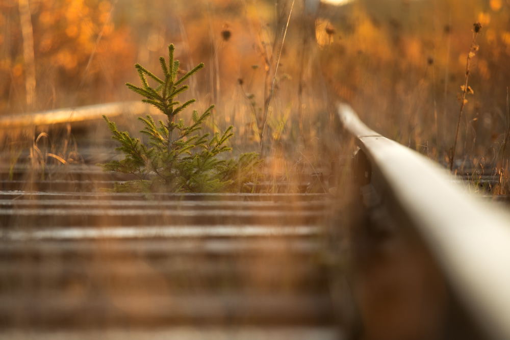 10. Platz Stefan Klughammer